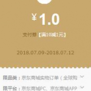 京东金融 支付券
