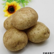 2018年甘肃特产 定西粉土豆 5斤