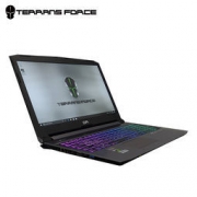 Terrans Force 未来人类 DR5 魔鬼鱼 15.6英寸 游戏本(i7-8750H 8G 128G+1T GTX1050TI 4GB 120HZ)