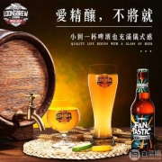 龙精酿 德式小麦精酿啤酒 330ml*6支