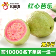 Phoenix Bay 凤凰湾 海南红心芭乐番石榴5斤
