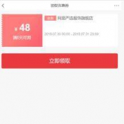 京东：严选服饰旗舰店 48元店铺京券