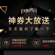 优惠券：京东金融 白条闪付优惠券 超值套餐