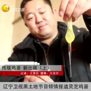 盘锦特产 灵芝鸡蛋 土鸡蛋 30枚