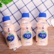椰汁岛 胃动力乳酸菌饮品340ml*12瓶