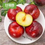 甘福园 陕西黑布林李子 9斤装