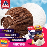 乌克兰进口 如迪 网红牛乳冰激凌 500g*2盒 牛乳含量50%以上