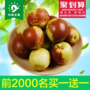 升森 新鲜陕西大荔脆枣 2斤