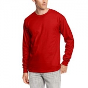 Hanes 恒适 男士长袖衫 2件装  +凑单品