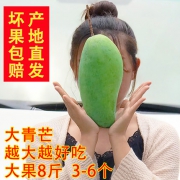 芒果界的巨无霸、单果重1-2斤！绿蒙园 越南进口 大青芒 8斤 3-6个
