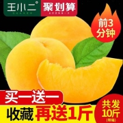 10点开始前3分钟，王小二 应季现摘高山黄桃 10斤