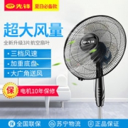 Singfun 先锋 FS40-11G 落地扇