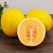 太阳果 新鲜现摘陕西沙漠蜜瓜哈密瓜 7斤