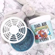 Bad Air Sponge 甲醛污染空气净化剂 400g*10罐