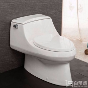 Prime Day镇店之宝，降￥335！KOHLER 科勒 K-3722T-0 圣拉菲尔五级旋风连体马桶