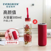 Evergreen 爱屋格林 创意印花耐热玻璃杯500ml 多色 送精美杯套