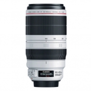 佳能（Canon） EF 100-400mm F4.5-5.6L IS II USM 镜头 大炮