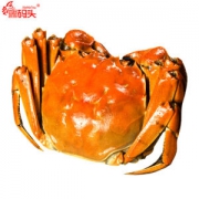阳澄湖 鲜活六月黄 大闸蟹礼盒装  共10只 单只1.8-2.2两