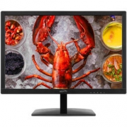 MicroStar 微软之星 E2209 21.5英寸 ADS显示器