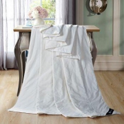 SOMERELLE 安睡宝 全棉天然蚕丝空调被夏凉被 220*240cm *2件 +凑单品