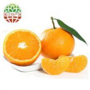 XIANGUOLAN 鲜菓篮 青见柑橘 2kg *2件