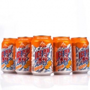冰峰 橙汁味汽水 300ml*24 *2件