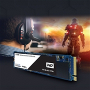 【美亚自营】WD 西部数据 Black 256GB Performance M.2 2280 PCIe NVMe 性能固态硬盘