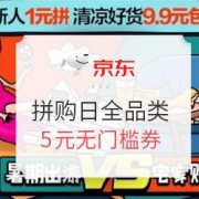 京东 拼购日全品类促销