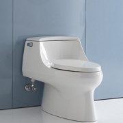 科勒（KOHLER）   K-3722T-0 圣拉菲尔 五级旋风连体座便器