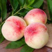 10点前10分钟： FruitPark 洋果坊 山西运城胭脂水蜜桃 3斤 *3件