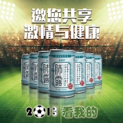 乐镜宇 肺露植物饮料 310ml*12罐 百年世家传承