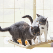 宠物猫咪吊床 承重35斤 赠玩具老鼠