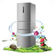 Haier 海尔 风冷无霜 2级 定频冰箱BCD-258WDPM