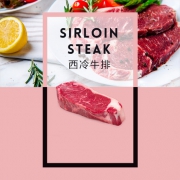 犇 澳洲进口 多汁整切牛排套餐100g*10片