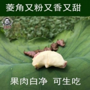 余胖子 洪湖老菱角 5斤