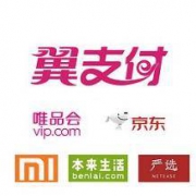 移动端 : 翼支付 X 唯品会/京东/网易严选/本来生活/小米商城