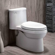 Prime Day，KOHLER 科勒 艾黛儿 K-5171T五级旋风连体马桶坐便器 缓降盖板
