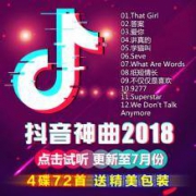 2018抖音热门歌曲 黑胶碟片 4CD