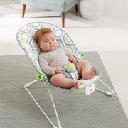 Fisher Price 费雪 婴儿摇椅