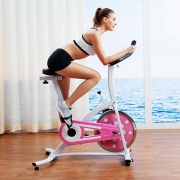 SUNNY HEALTH&FITNESS P8100/SF-B1203 家用健身车