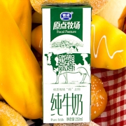 银桥乳业 原点牧场全脂纯牛奶250ml*10盒整箱