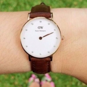 Prime会员镇店之宝，Daniel Wellington 丹尼尔惠灵顿 0900DW/0903DW 女士时尚石英表