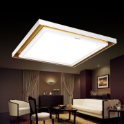 松下（Panasonic）   宫之歌系列 HHLA3139 LED吸顶灯 51W