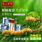 云上藏羌 18新摘 西藏那曲 新鲜野生冬虫夏草 0.6-0.8克/条 1根真空包装