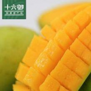 十六御 高山金煌芒果 中大果 10斤