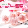 日本进口理本生梅糖 110g