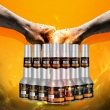 长城燃油添加剂 铂金版 80ml*10套装