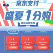 优惠活动：京东支付 盛夏一分购
