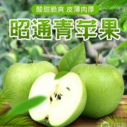 昭鹏 云南昭通青苹果5斤