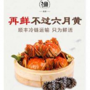 渔澄 鲜活大闸蟹 8只装